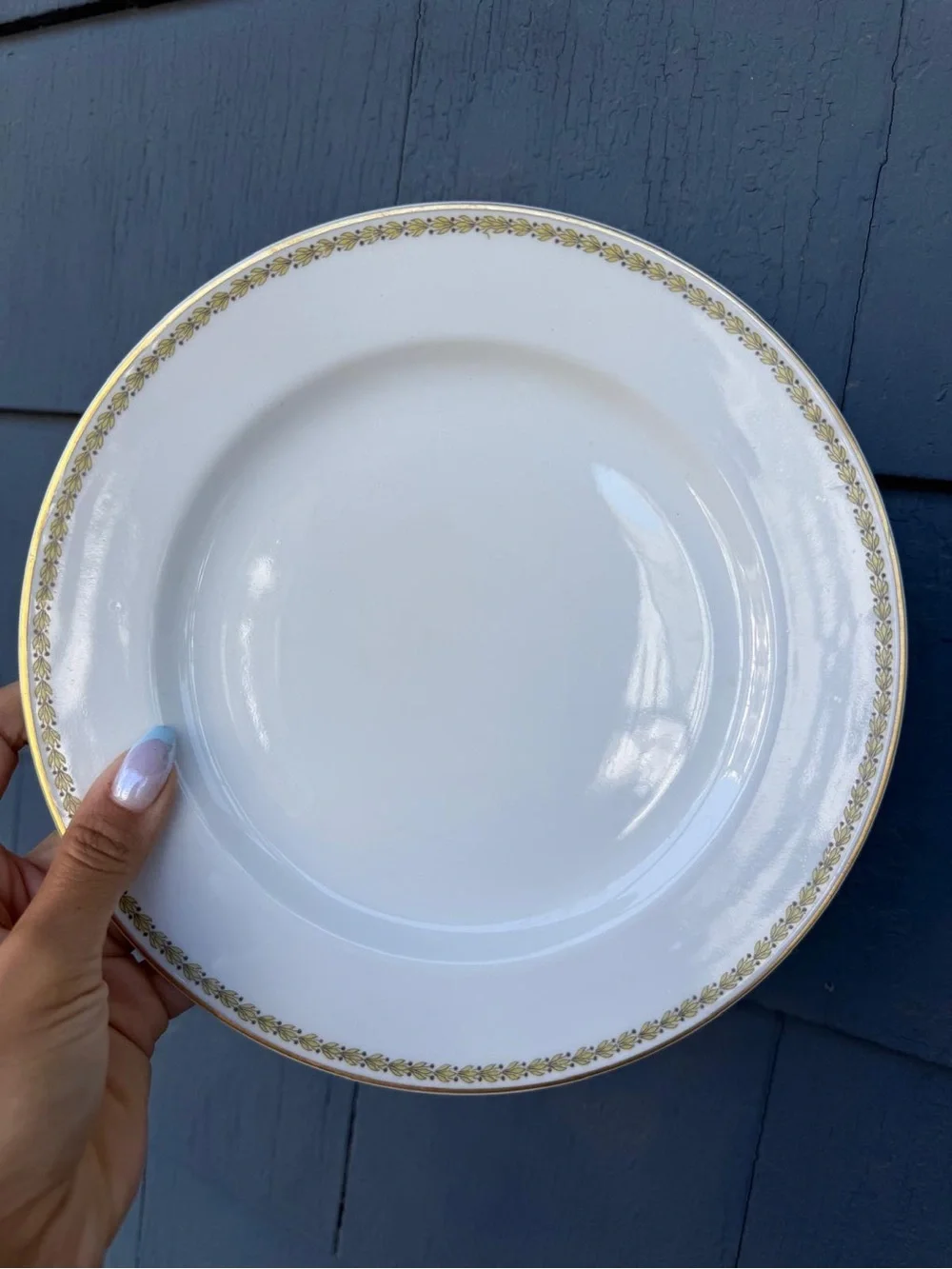 Set of 7 Antique Haviland Limoges France Dinner Plates – Gold Trim – 8” (20 cm)